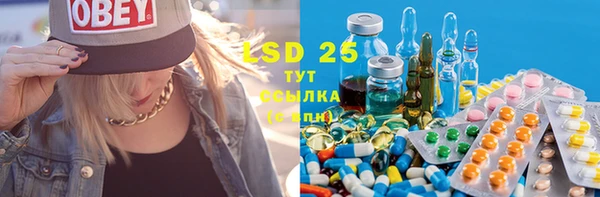 гидра Михайловка