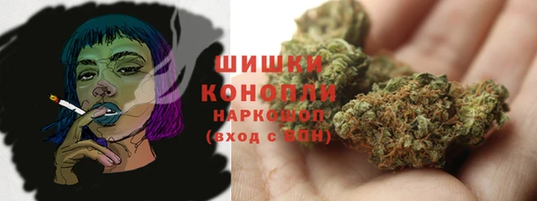 шишки Надым
