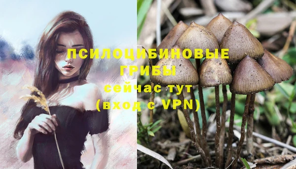 кокаин колумбия Михайловск