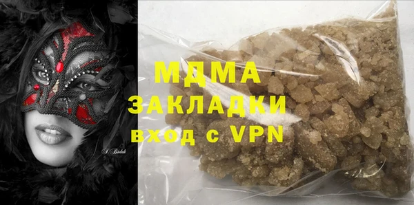 шишки Надым