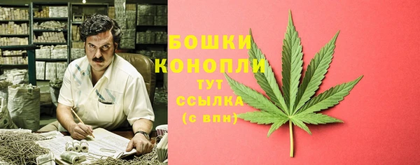гидра Михайловка