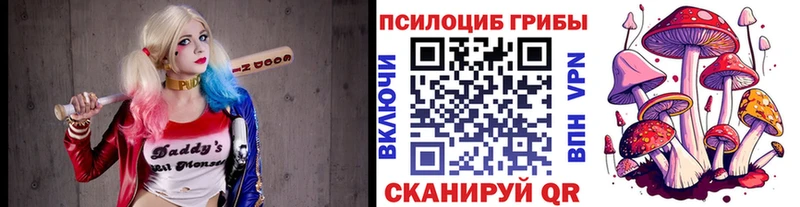 маркетплейс телеграм  Оса  Псилоцибиновые грибы мухоморы 
